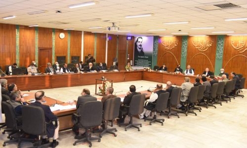 فاقی وزیر برائے اقتصادی امور جناب عمر ایوب خان نے آج اسلام آباد میں کابینہ کی اقتصادی رابطہ کمیٹی (ای سی سی) کے اجلاس کی صدارت کی